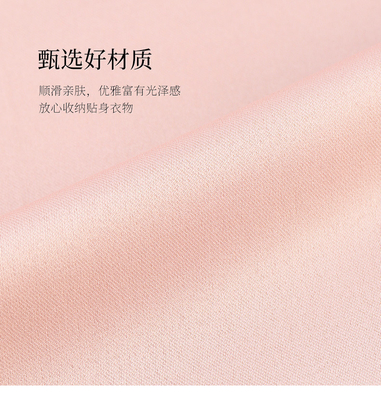 SIMPLE UNDERWEAR STORAGE BAG BRA UNDERWEAR SOCKS TOP CHEST STORAGE BAG TRAVEL ORGANIZER BAG STORAGE BAG