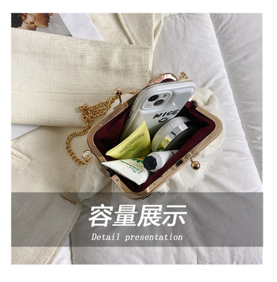 2024 NEW RETRO FAIRY SOLID COLOR SMALL BAG WHITE HAND PEARL BAG WOMEN'S NET YARN INS SIMPLE CROSSBODY BAG