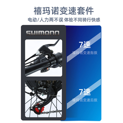 ELECTRIC NEW ELECTRIC BIKE MOUNTAIN BIKE ADULT RETRO OFF-ROAD VARIABLE SPEED BOOSTER ELECTRIC BIKE