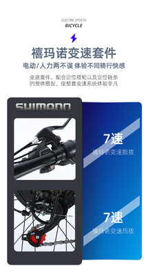 ELECTRIC NEW ELECTRIC BIKE MOUNTAIN BIKE ADULT RETRO OFF-ROAD VARIABLE SPEED BOOSTER ELECTRIC BIKE