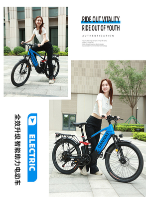 ELECTRIC NEW ELECTRIC BIKE MOUNTAIN BIKE ADULT RETRO OFF-ROAD VARIABLE SPEED BOOSTER ELECTRIC BIKE