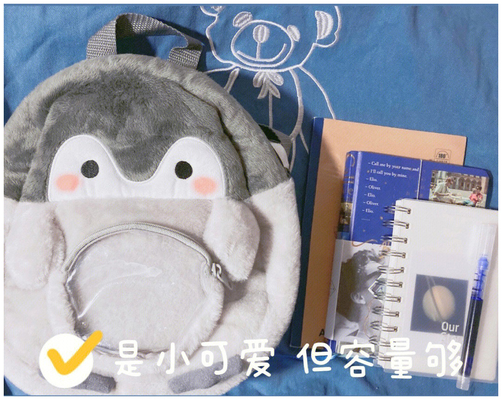 MALE BACKPACK FEMALE COLLEGE STUDENTS SIMPLE DESIGN SENSE NICHE COMPUTER BAG SCHOOLBAG