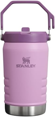 IceFlow Stainless Steel Tumbler with Straw, Vacuum Insulated Water Bottle for Home, Office or Car, Reusable Cup