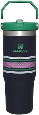 IceFlow Stainless Steel Tumbler with Straw, Vacuum Insulated Water Bottle for Home, Office or Car, Reusable Cup