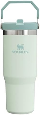 IceFlow Stainless Steel Tumbler with Straw, Vacuum Insulated Water Bottle for Home, Office or Car, Reusable Cup