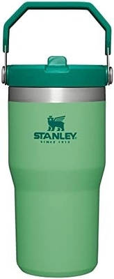 IceFlow Stainless Steel Tumbler with Straw, Vacuum Insulated Water Bottle for Home, Office or Car, Reusable Cup