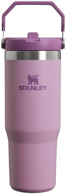 IceFlow Stainless Steel Tumbler with Straw, Vacuum Insulated Water Bottle for Home, Office or Car, Reusable Cup