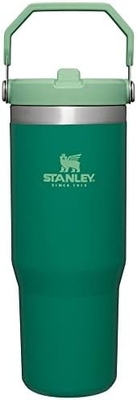 IceFlow Stainless Steel Tumbler with Straw, Vacuum Insulated Water Bottle for Home, Office or Car, Reusable Cup