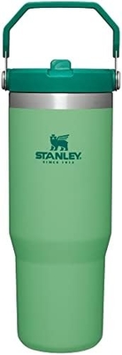 IceFlow Stainless Steel Tumbler with Straw, Vacuum Insulated Water Bottle for Home, Office or Car, Reusable Cup