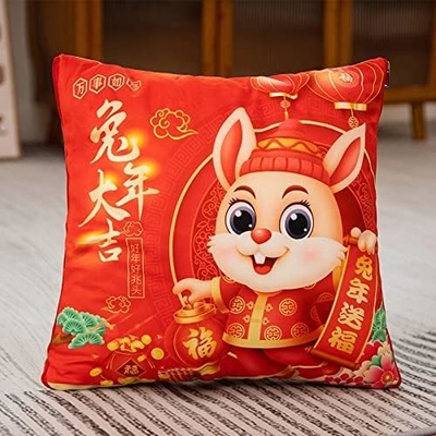 Year of The Rabbit Mascot, Big Red Pillow, Year of The Rabbit Pillow Quilt 40*40cm