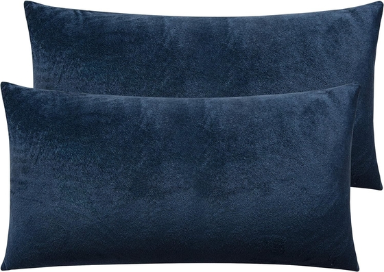 NTBAY 2 Pack Zippered Velvet King Pillowcases, Super Soft and Cozy Luxury Fuzzy Flannel Pillow Cases with Zipper, 20x36