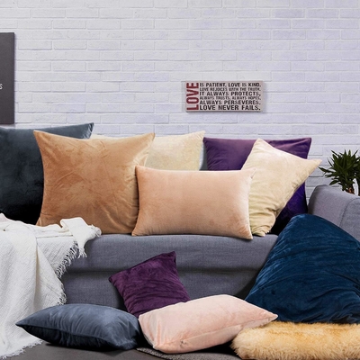 NTBAY 2 Pack Zippered Velvet King Pillowcases, Super Soft and Cozy Luxury Fuzzy Flannel Pillow Cases with Zipper, 20x36