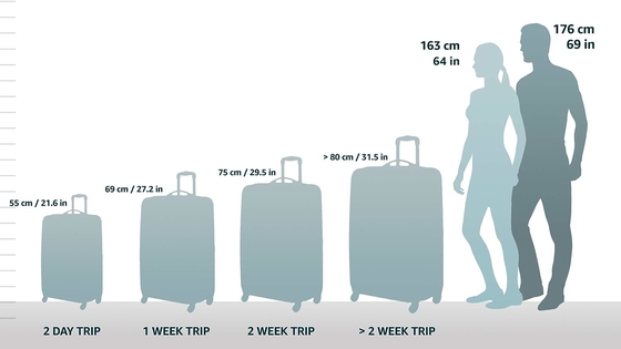 Centric Hardside Expandable Luggage with Spinner Wheels, Teal, Checked-Medium 24-Inch