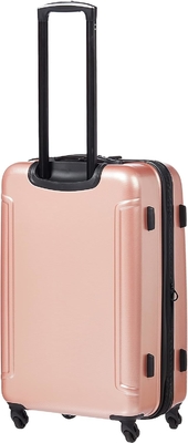 Moonlight Hardside Expandable Luggage with Spinner Wheels, Rose Gold, Checked-Medium 24-Inch
