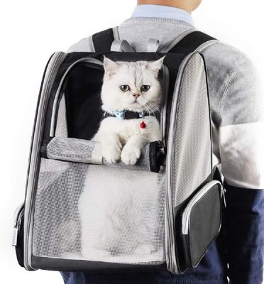 Innovative Traveler Bubble Backpack Pet Carriers For Cats And Dogs Cat Bakcpack Bag